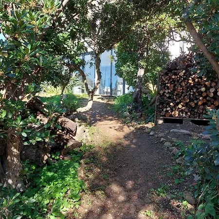 La Terrasse Des Lauriers Sur L'ile Du Levant * Ile du Levant