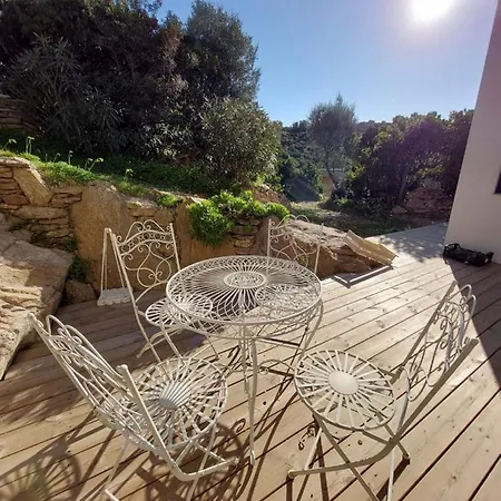 La Terrasse Des Lauriers Sur L'ile Du Levant *