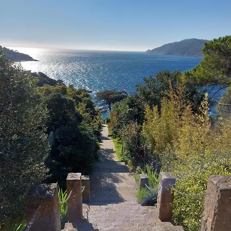 La Terrasse Des Lauriers Sur L'ile Du Levant